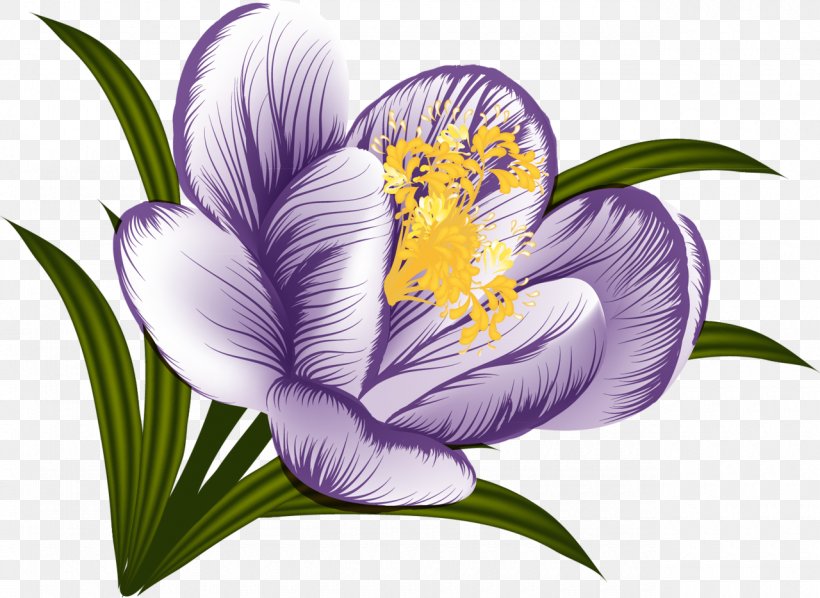 Flower Crocus Clip Art, PNG, 1280x934px, Flower, Crocus, Decoupage, Flower Bouquet, Flowering Plant Download Free