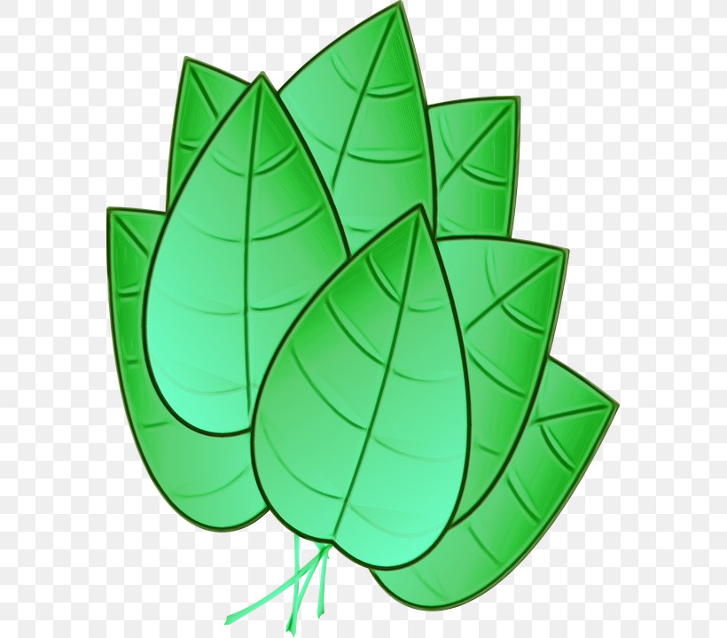 Leaf Circle Green Tree Plant, PNG, 579x720px, Watercolor, Analytic Trigonometry And Conic Sections, Biology, Circle, Green Download Free