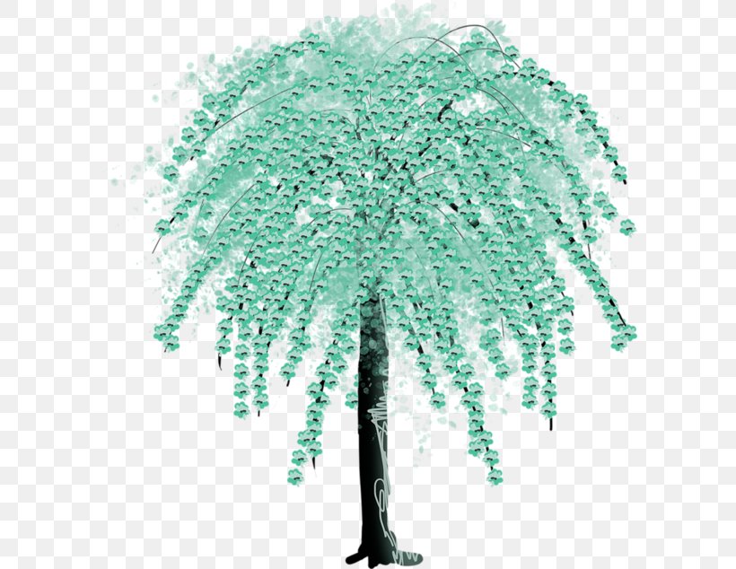Twig Clip Art Tree Image, PNG, 600x634px, Twig, Birch, Branch, Painting, Pine Family Download Free