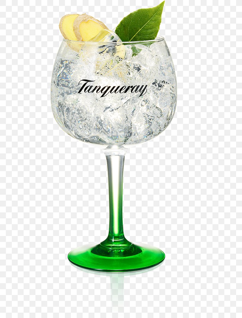 Gin And Tonic Tanqueray Tonic Water Cocktail, PNG, 493x1078px, Gin And Tonic, Bombay Sapphire, Champagne Glass, Champagne Stemware, Classic Cocktail Download Free