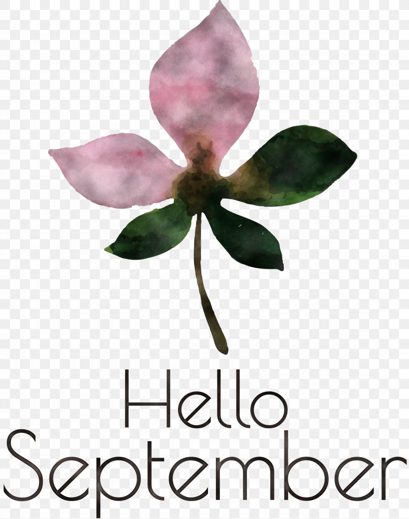 Hello September September, PNG, 2362x3000px, Hello September, Biology, Cut Flowers, Flower, Herbaceous Plant Download Free