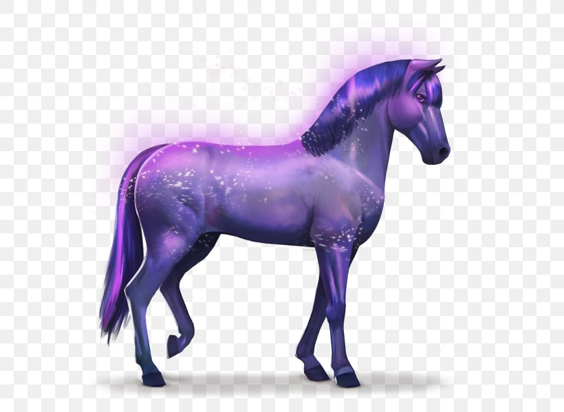 Horse Howrse Rainbow Indigo Aretus, PNG, 600x600px, Horse, Aretus, Breeder, Christian Mission, Colt Download Free