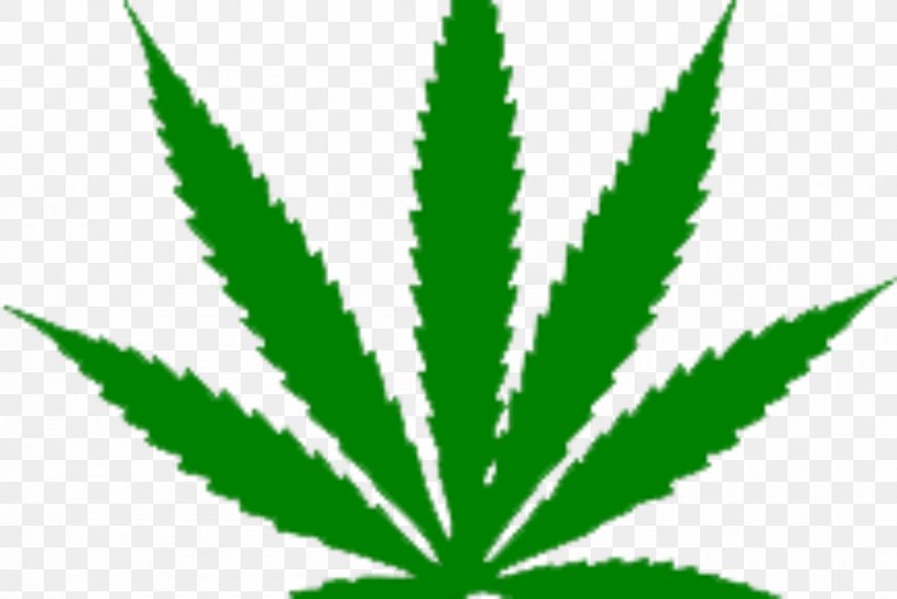 Medical Cannabis Clip Art Legality Of Cannabis Hemp, PNG, 848x566px, 420 Day, Cannabis, Bong, Cannabis Cultivation, Cannabis In Papua New Guinea Download Free