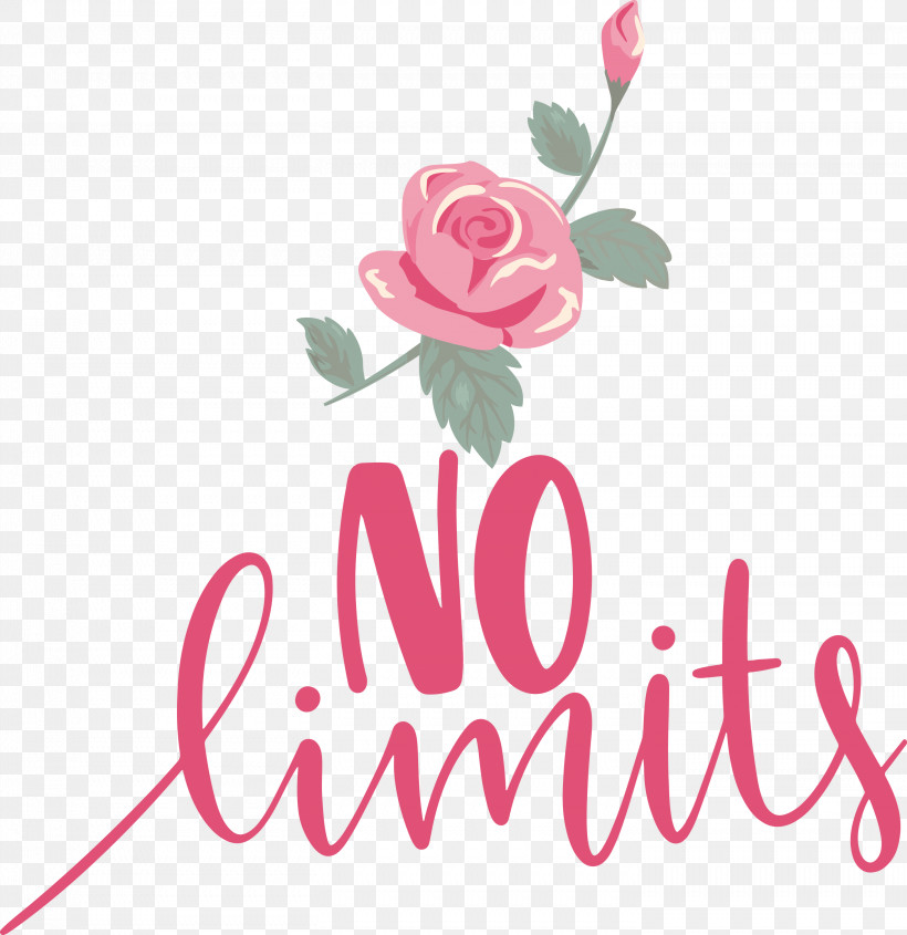 No Limits Dream Future, PNG, 2911x3000px, No Limits, Cut Flowers, Dream, Floral Design, Future Download Free