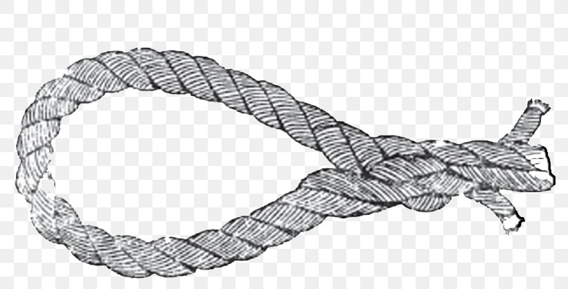 Reptile Rope, PNG, 805x418px, Reptile, Hardware Accessory, Rope Download Free