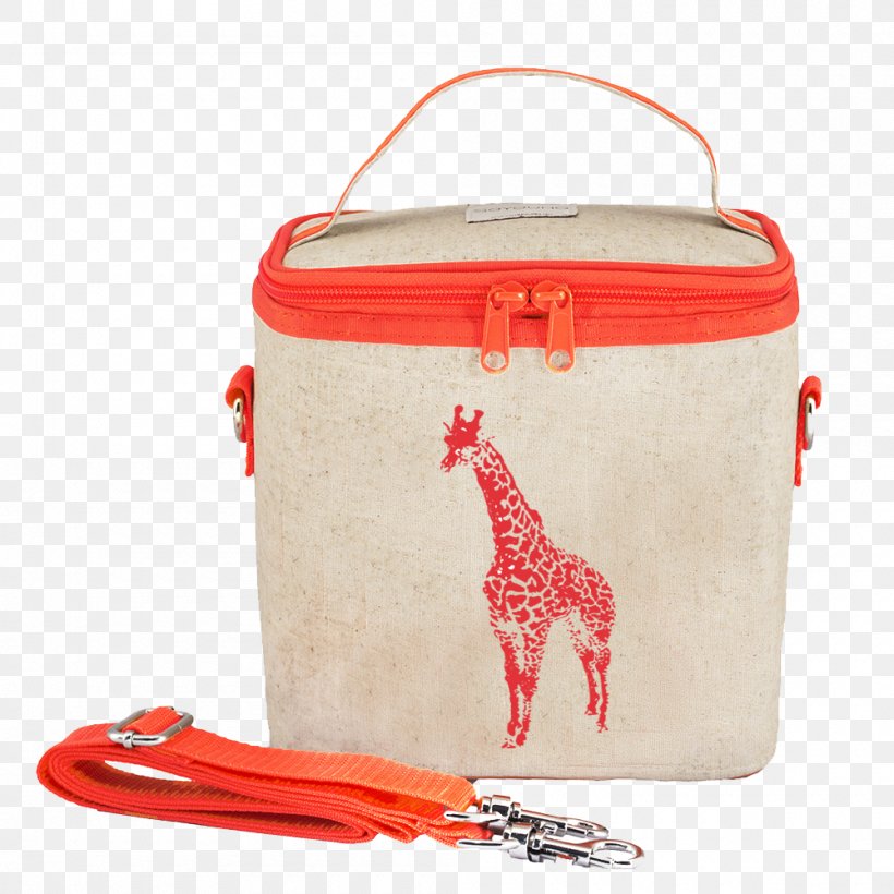 Thermal Bag Lunchbox Cooler, PNG, 1000x1000px, Thermal Bag, Backpack, Bag, Bento, Box Download Free
