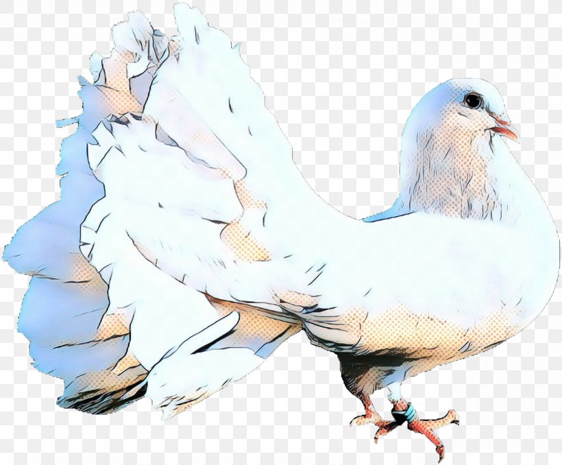 Dove Bird, PNG, 1280x1059px, Chicken, Beak, Bird, Feather, Pigeons And Doves Download Free