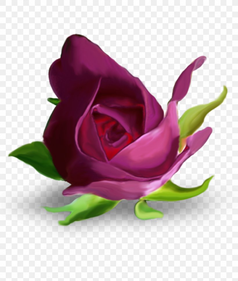 Garden Roses Flower Purple Letter Alphabet, PNG, 1081x1280px, Garden Roses, Alphabet, Close Up, Cut Flowers, Ecard Download Free
