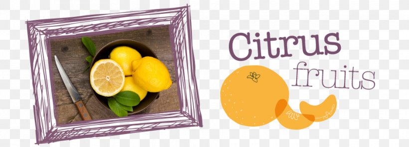 Lemon Citric Acid IPage Font, PNG, 940x340px, Lemon, Acid, Citric Acid, Citrus, Food Download Free