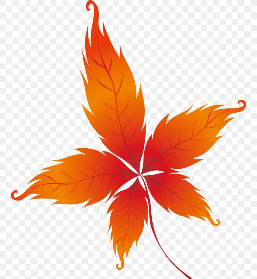 Autumn Leaves Drawing Leaf, PNG, 752x888px, Autumn Leaves, Autumn, Autumn Leaf Color, Drawing, Feather Download Free