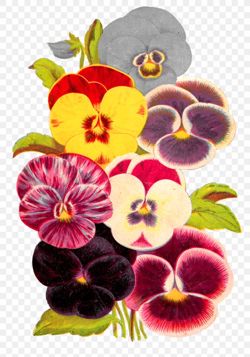 Pansy Violet Flower Clip Art, PNG, 1121x1600px, Pansy, Edible Flower, Floral Design, Flower, Flowering Plant Download Free