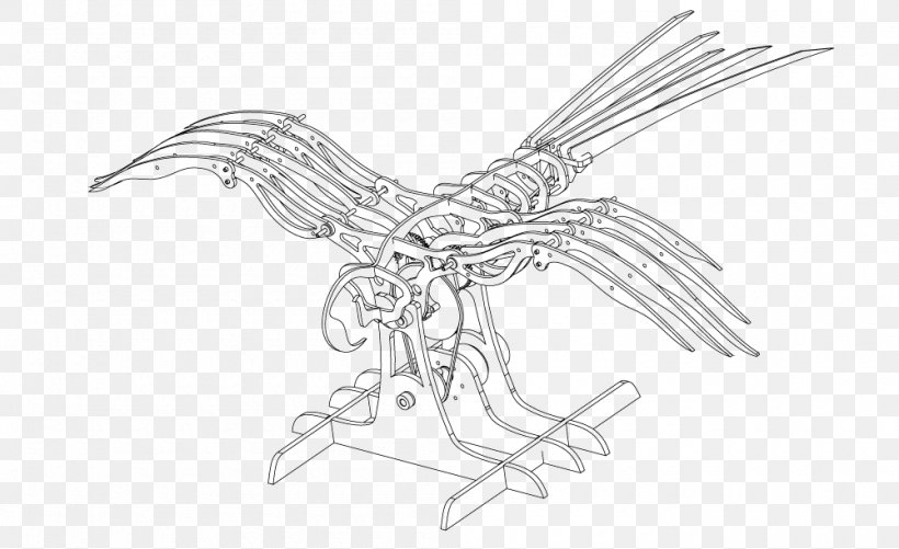 Beak Bird Of Prey Line Art Sketch, PNG, 1000x612px, Beak, Artwork, Bird, Bird Of Prey, Black And White Download Free