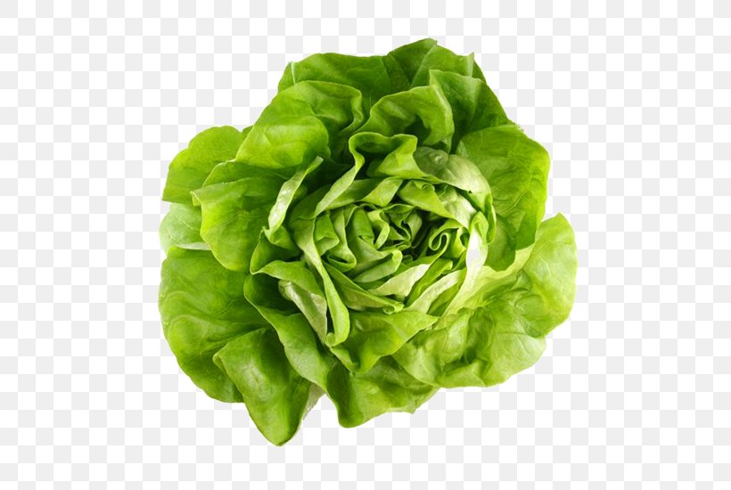 Butterhead Lettuce Romaine Lettuce Leaf Vegetable Variety, PNG, 768x550px, Butterhead Lettuce, Butter, Chard, Cruciferous Vegetables, Food Download Free