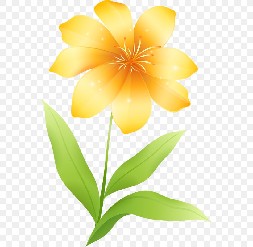 Flower Yellow Clip Art, PNG, 553x800px, Flower, Blog, Color, Flora, Floral Design Download Free