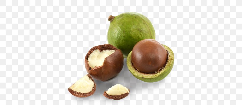 Macadamia Nut Macadamia Oil Banana Bread, PNG, 392x356px, Macadamia Nut, Banana Bread, Carrot Seed Oil, Food, Fruit Download Free