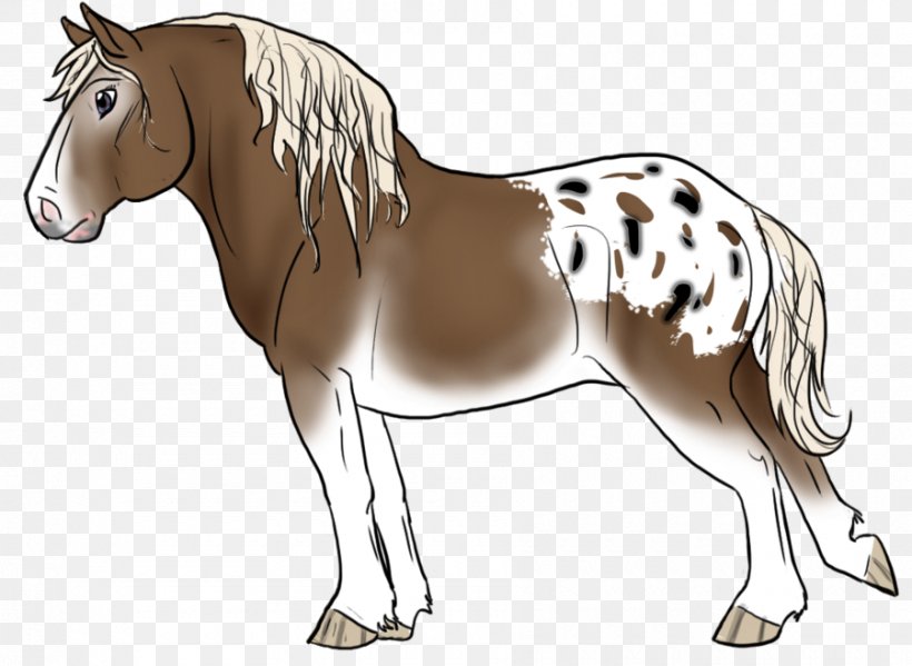 Mule Foal Stallion Mare Colt, PNG, 900x658px, Mule, Animal Figure, Bit, Bridle, Colt Download Free