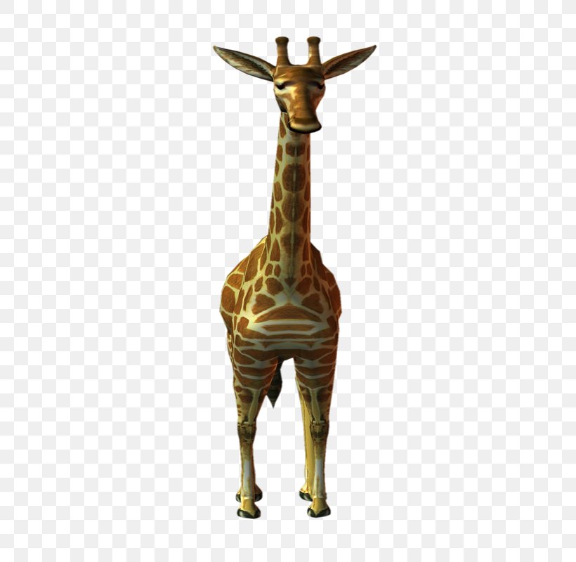 Northern Giraffe PhotoScape Animal Deer, PNG, 600x800px, Northern Giraffe, Animal, Blog, Deer, Gimp Download Free
