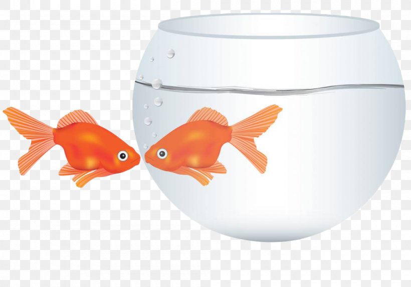 Goldfish Kissing Gourami Illustration, PNG, 1000x700px, Goldfish, Aquarium, Bony Fish, Drawing, Fish Download Free