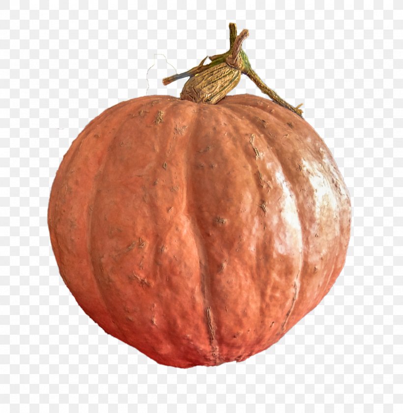 Pumpkin Winter Squash Gourd Art Vegetarian Cuisine, PNG, 1024x1048px, Pumpkin, Art, Artist, Calabaza, Commodity Download Free