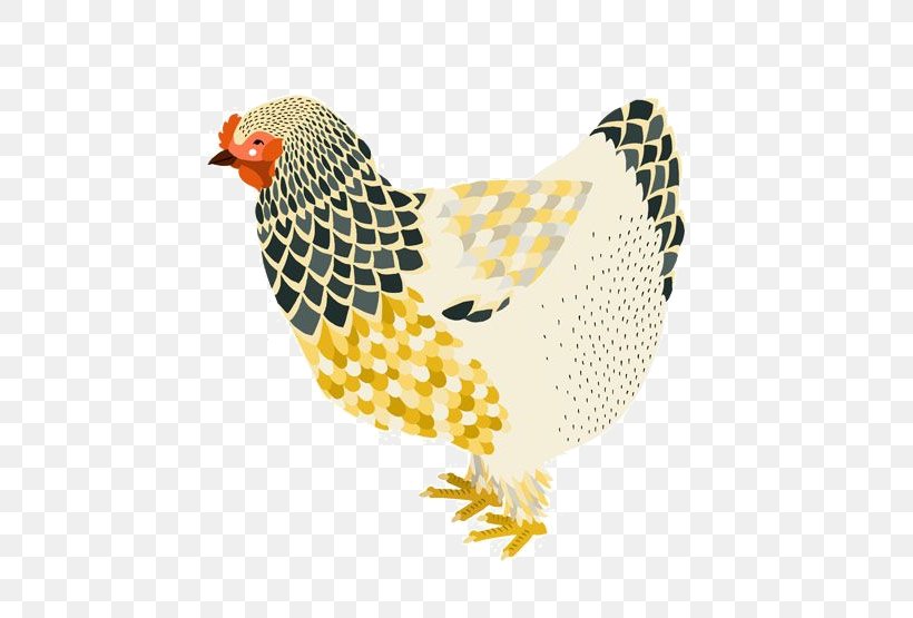 Ameraucana Fried Chicken Fried Egg Rooster Salted Duck Egg, PNG, 482x555px, Ameraucana, Beak, Bird, Chicken, Chicken As Food Download Free