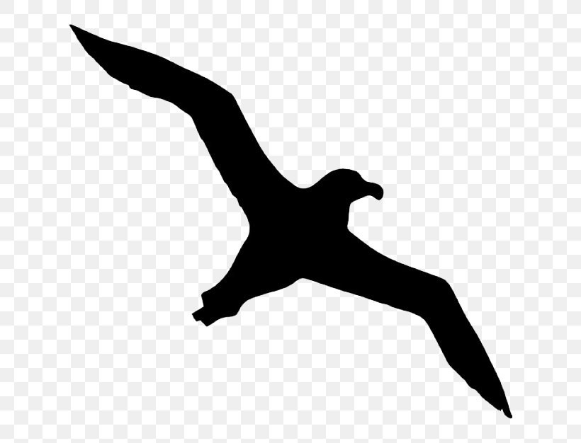 Bird Albatross Icon, PNG, 626x626px, Bird, Albatross, Beak, Black And White, Drawing Download Free