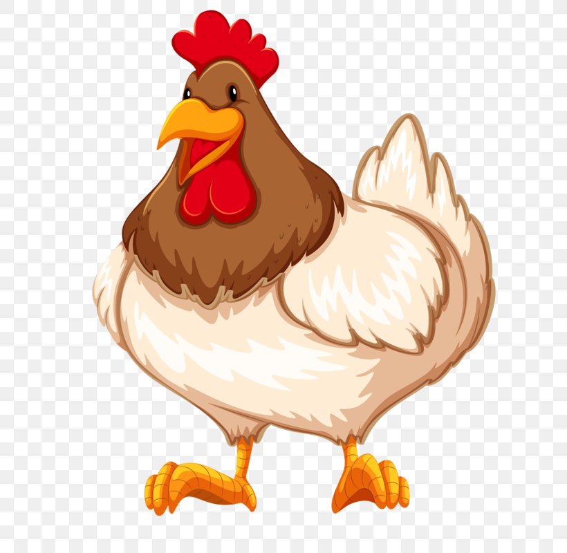 Chicken Rooster Kifaranga Clip Art, PNG, 628x800px, Chicken, Beak, Bird, Egg, Food Download Free