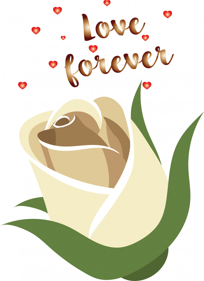 Coffee Cup, PNG, 2757x3800px, Coffee Cup, Coffee, Cup, Flower, Logo Download Free