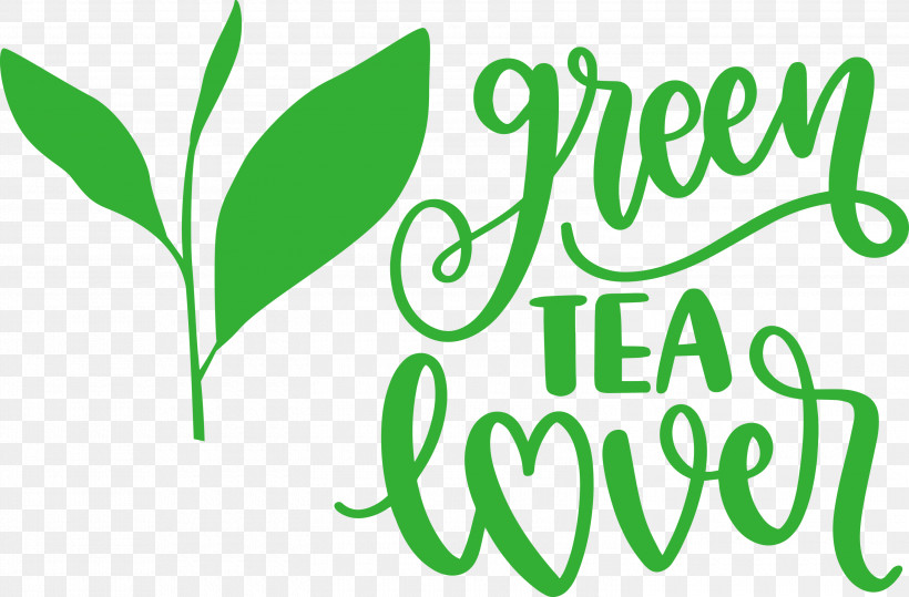 Green Tea Lover Tea, PNG, 3000x1974px, Tea, Green, Leaf, Logo, M Download Free