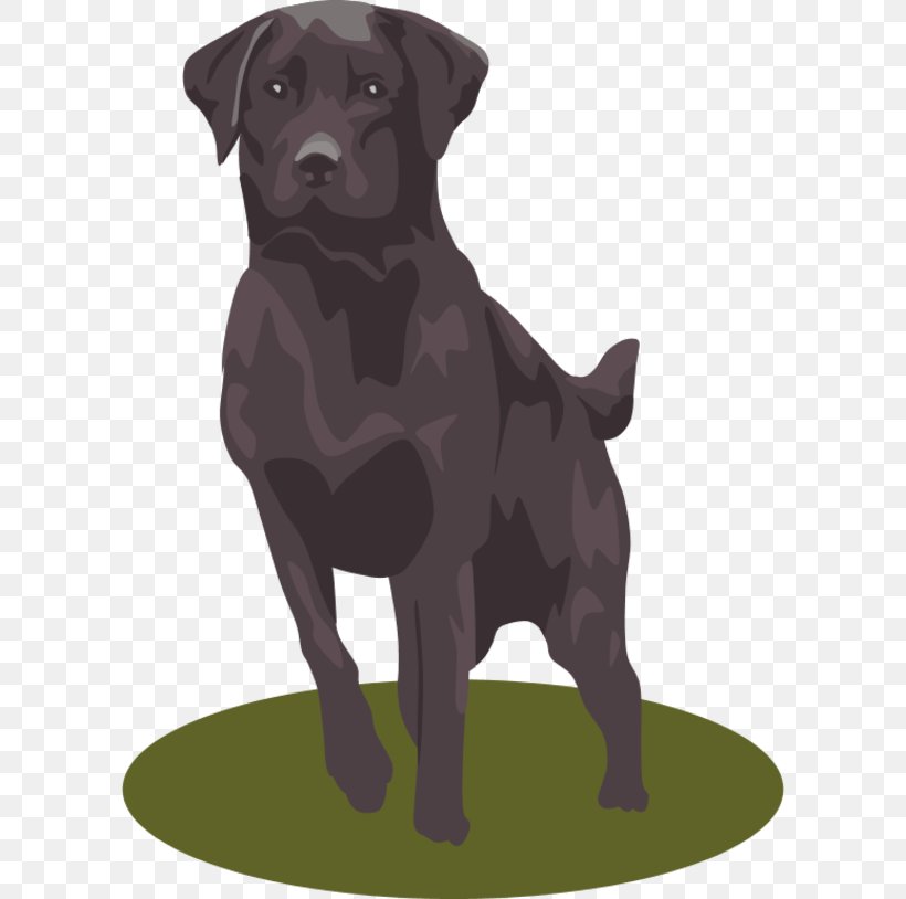 The Labrador Retriever Puppy Clip Art, PNG, 600x814px, Labrador Retriever, Borador, Carnivoran, Companion Dog, Dog Download Free