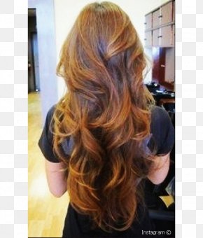 Variety Entertainment - Hairstyle Layered Hair Long Hair Black Hair PNG