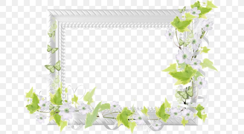 Photography Clip Art, PNG, 650x451px, Photography, Blog, Border, Branch, Email Download Free