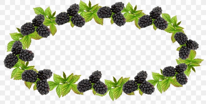 Berries Blackberry Image Jam, PNG, 1280x647px, Berries, Berry, Blackberry, Boysenberry, Dewberry Download Free