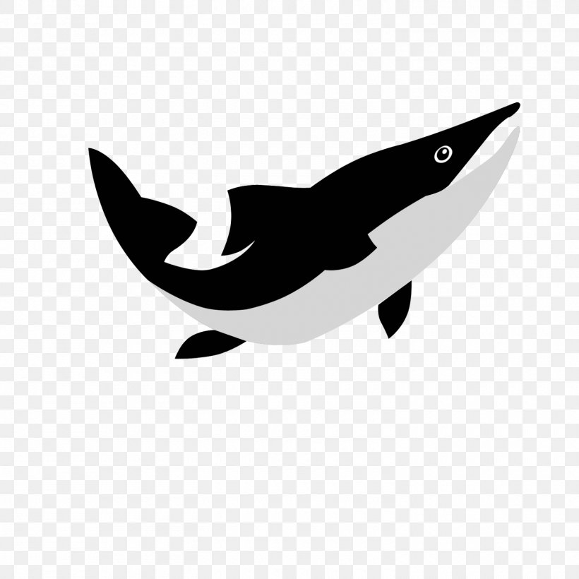 Dolphin Porpoise Cetacea White Clip Art, PNG, 1500x1500px, Dolphin, Beak, Bird, Black, Black And White Download Free