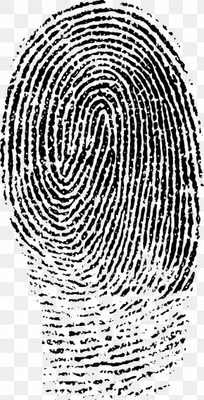 Fingerprint Forensic Science Clip Art, PNG, 1024x1024px, Fingerprint ...