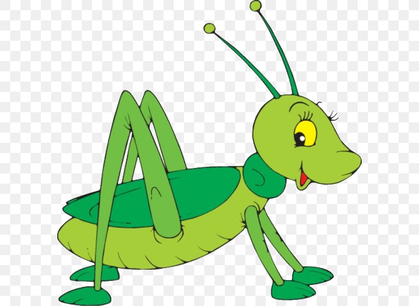 Grasshopper Cartoon Clip Art, PNG, 596x600px, The Ant And The Grasshopper, Amphibian, Art, Cartoon, Drawing Download Free