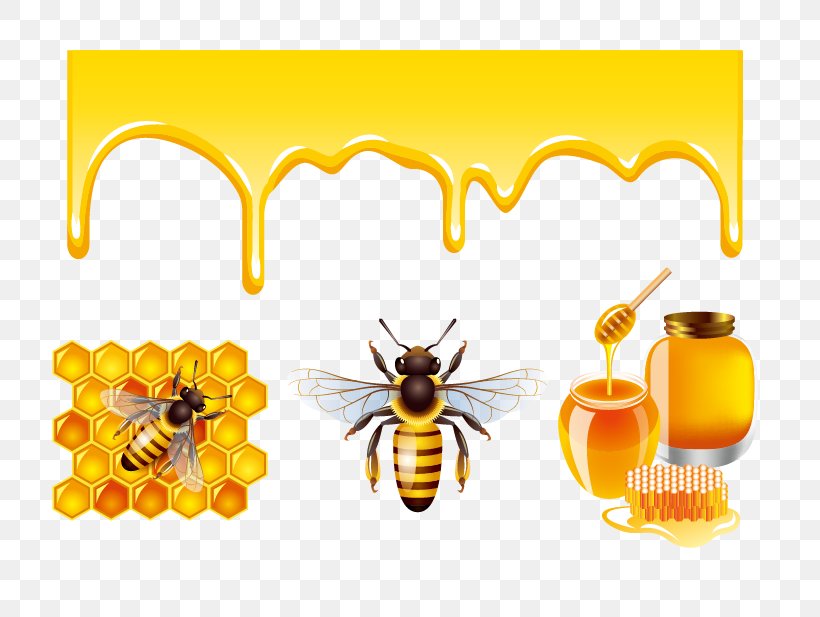 Honey Bee Honey Bee Clip Art, PNG, 747x617px, Bee, Flower, Honey, Honey Bee, Honeycomb Download Free