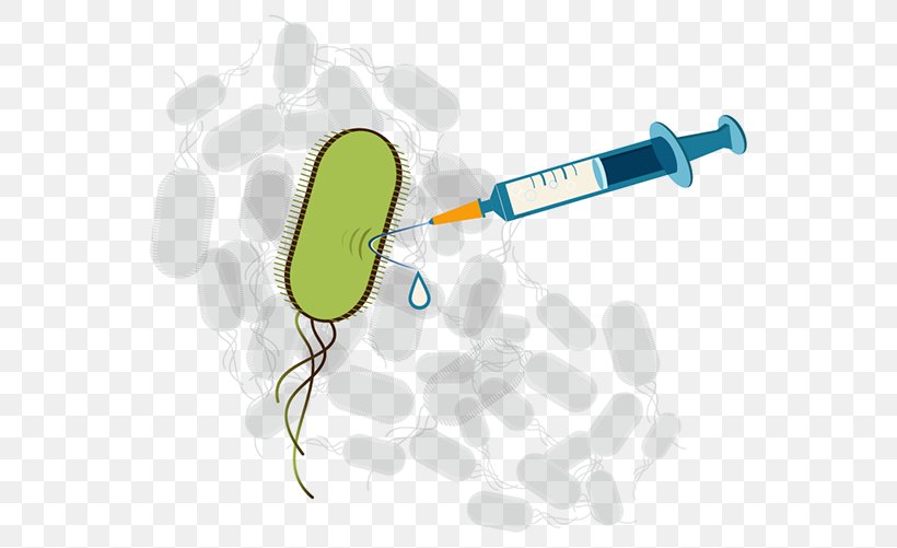 Injection Line, PNG, 600x501px, Injection Download Free
