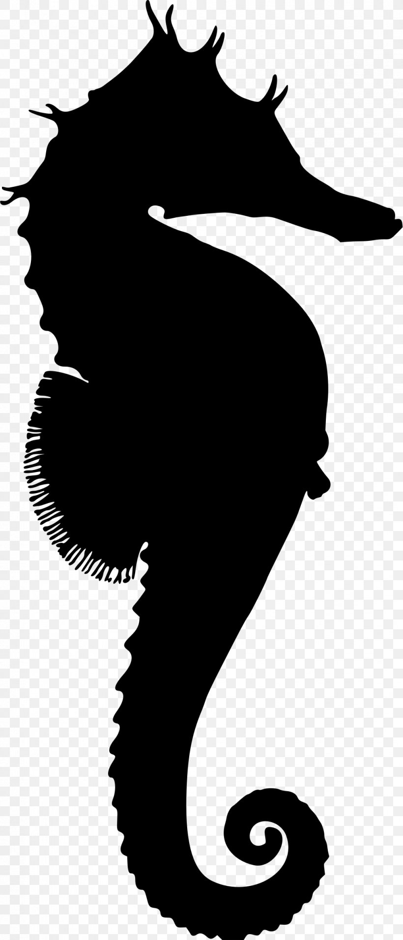 Silhouette Great Seahorse New Holland Seahorse Clip Art, PNG, 1029x2400px, Silhouette, Black And White, Fish, Great Seahorse, Horse Download Free
