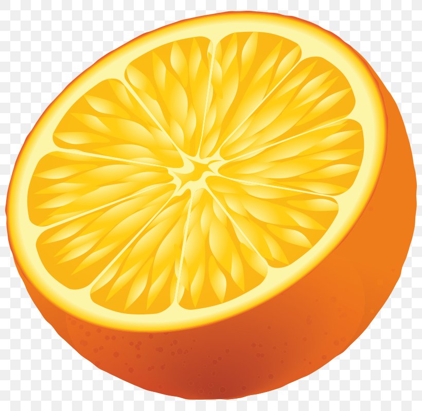 Vector Graphics Euclidean Vector Image Illustration, PNG, 800x800px, Lemon, Bitter Orange, Citric Acid, Citron, Citrus Download Free