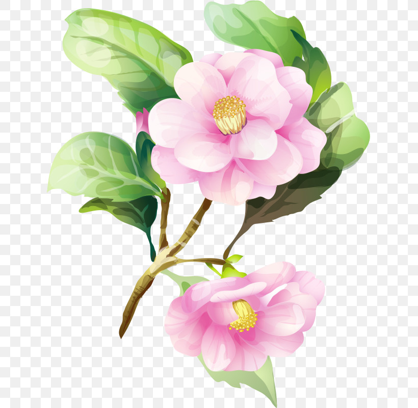 Artificial Flower, PNG, 635x800px, Flower, Artificial Flower, Blossom, Branch, Chinese Peony Download Free