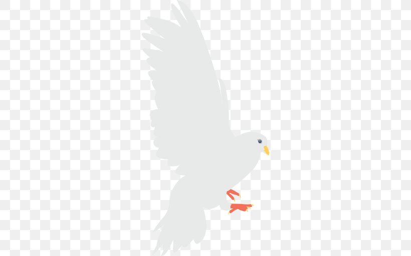 Columbidae Bird Domestic Pigeon Beak Wing, PNG, 512x512px, Columbidae, Beak, Bird, Bird Of Prey, Chicken Download Free