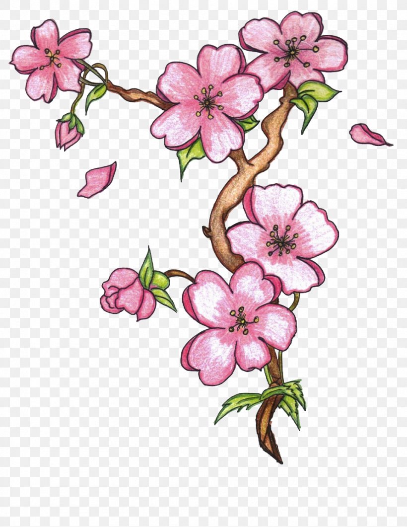 Drawing Sketch Image Flower Vector Graphics, PNG, 959x1242px, Drawing, Art, Blossom, Branch, Cherry Blossom Download Free