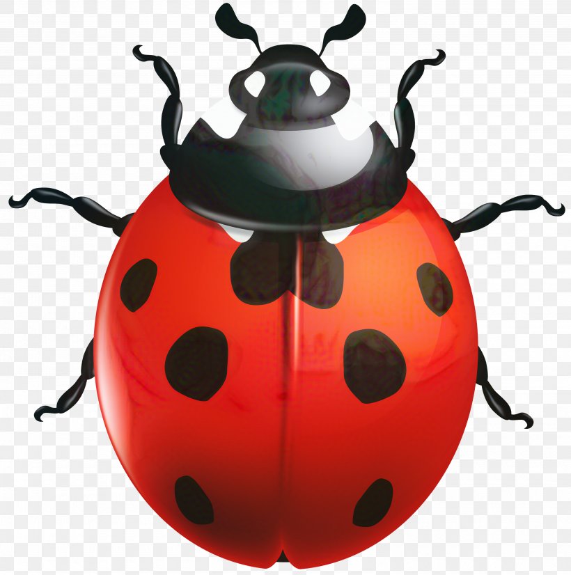 Clip Art Ladybird Beetle Vector Graphics, PNG, 2975x2997px, Ladybird Beetle, Arthropod, Beetle, Darkling Beetles, Insect Download Free