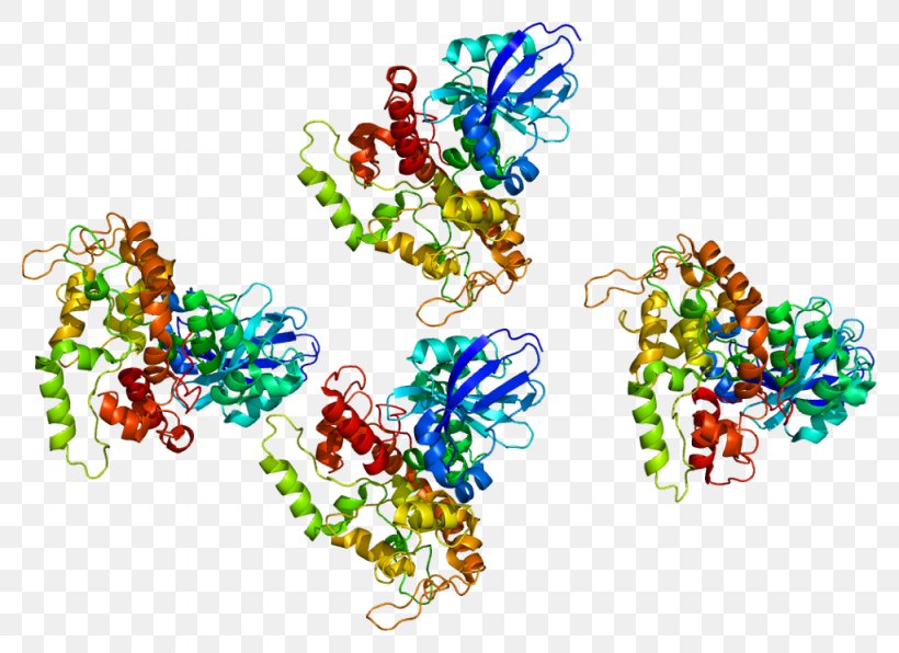 Protein Kinase A LRBA Deficiency Lipid-anchored Protein A-kinase-anchoring Protein, PNG, 1024x745px, Watercolor, Cartoon, Flower, Frame, Heart Download Free