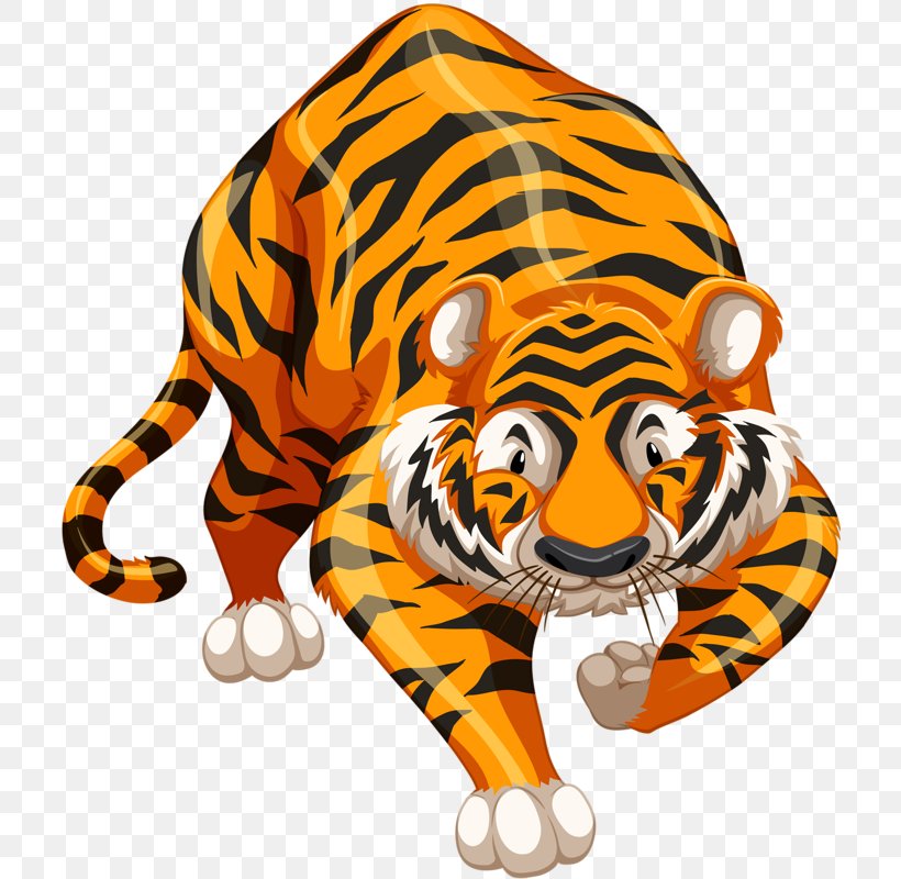 Tiger Drawing Royalty-free, PNG, 710x800px, Tiger, Art, Big Cats, Carnivoran, Cartoon Download Free