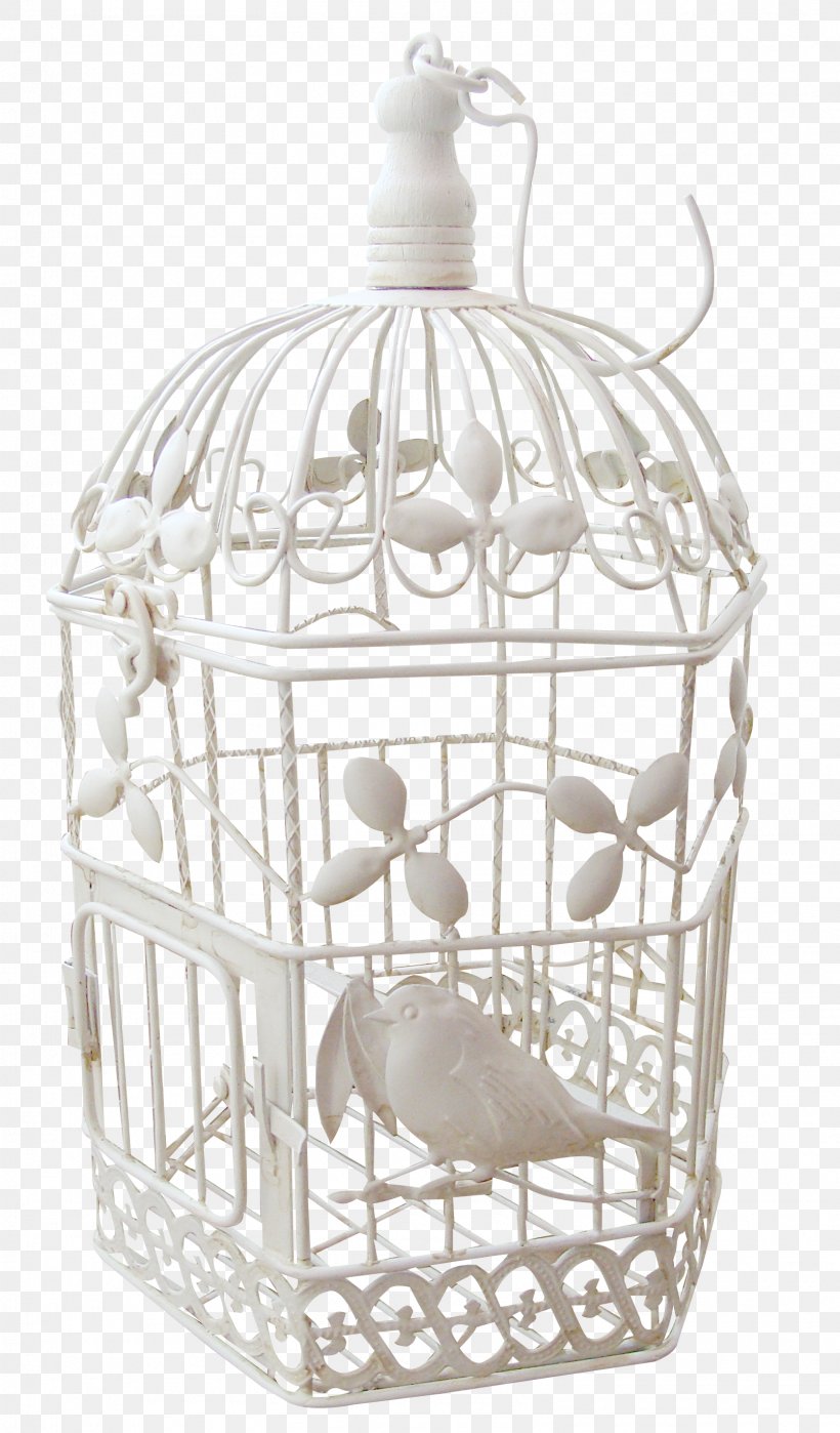Bird, PNG, 1610x2746px, Cage, Bird, Birdcage, Photofiltre, Storage Basket Download Free