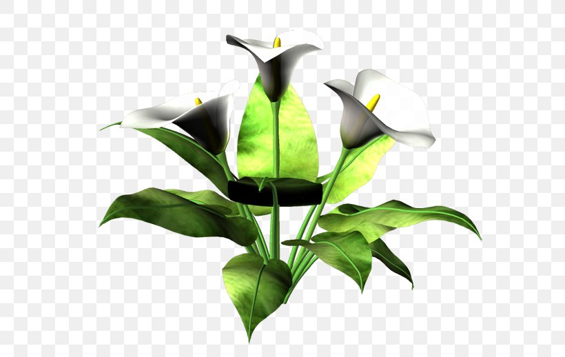 Cut Flowers Flowerpot Plant Stem Leaf, PNG, 600x518px, Cut Flowers, Flora, Flower, Flowering Plant, Flowerpot Download Free