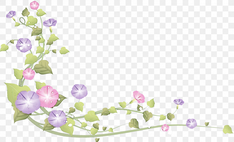 Floral Design, PNG, 3000x1824px, Morning Glory, Cut Flowers, Floral Design, Floristry, Flower Download Free
