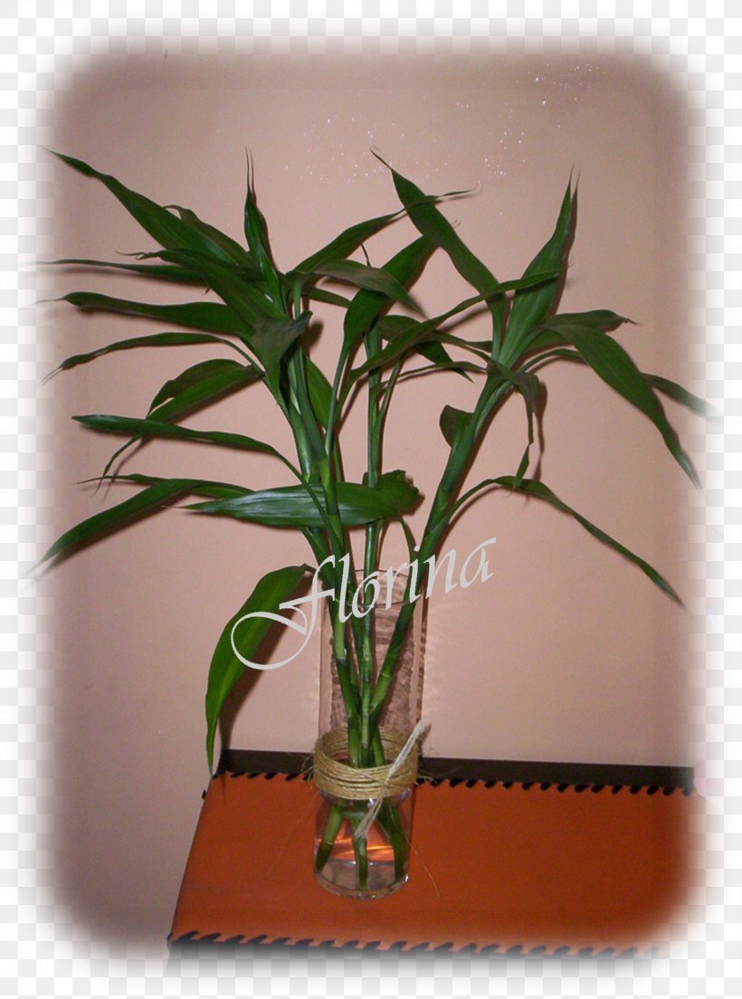 Flowerpot Plant Stem Houseplant, PNG, 1188x1600px, Flowerpot, Houseplant, Plant, Plant Stem Download Free