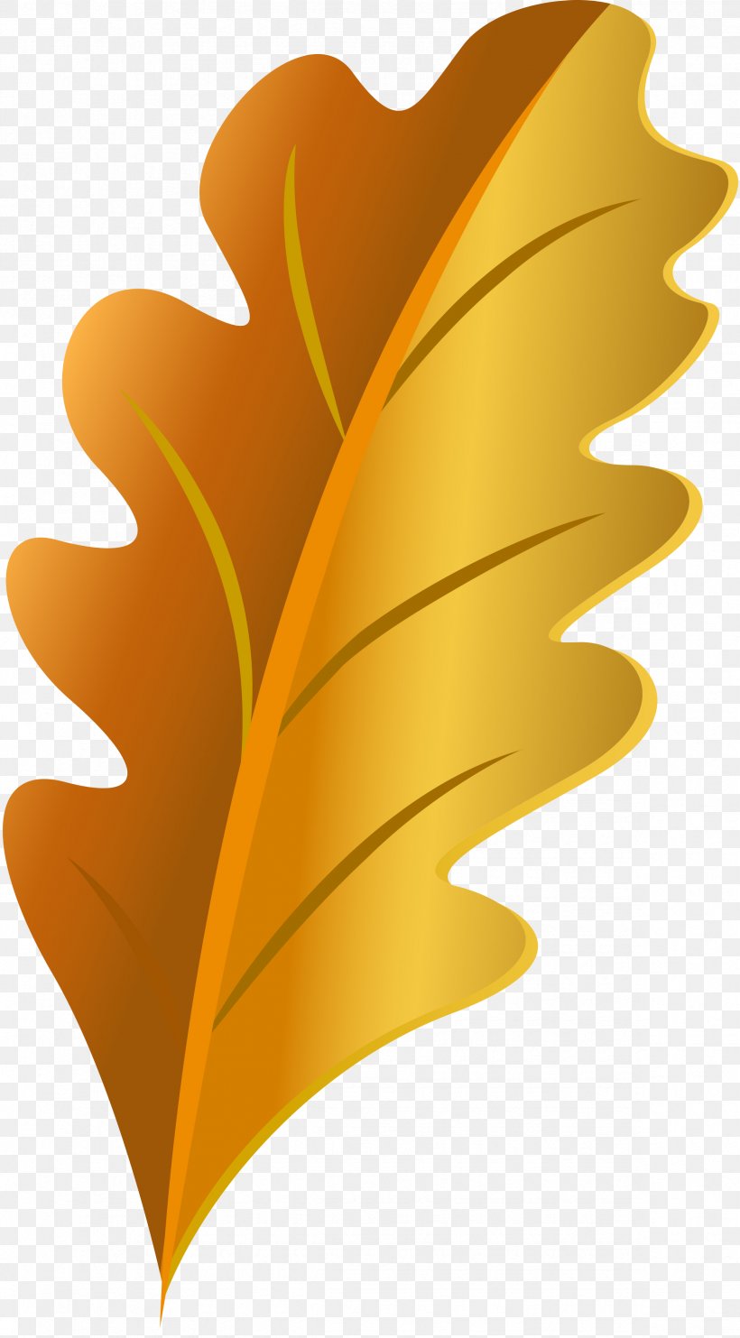 Leaf Petal Flower Yellow, PNG, 2365x4280px, Leaf, Flower, Petal, Plant, Tree Download Free